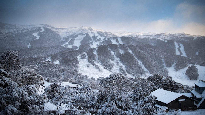 snow covered wide shot of Thredbo ski runs