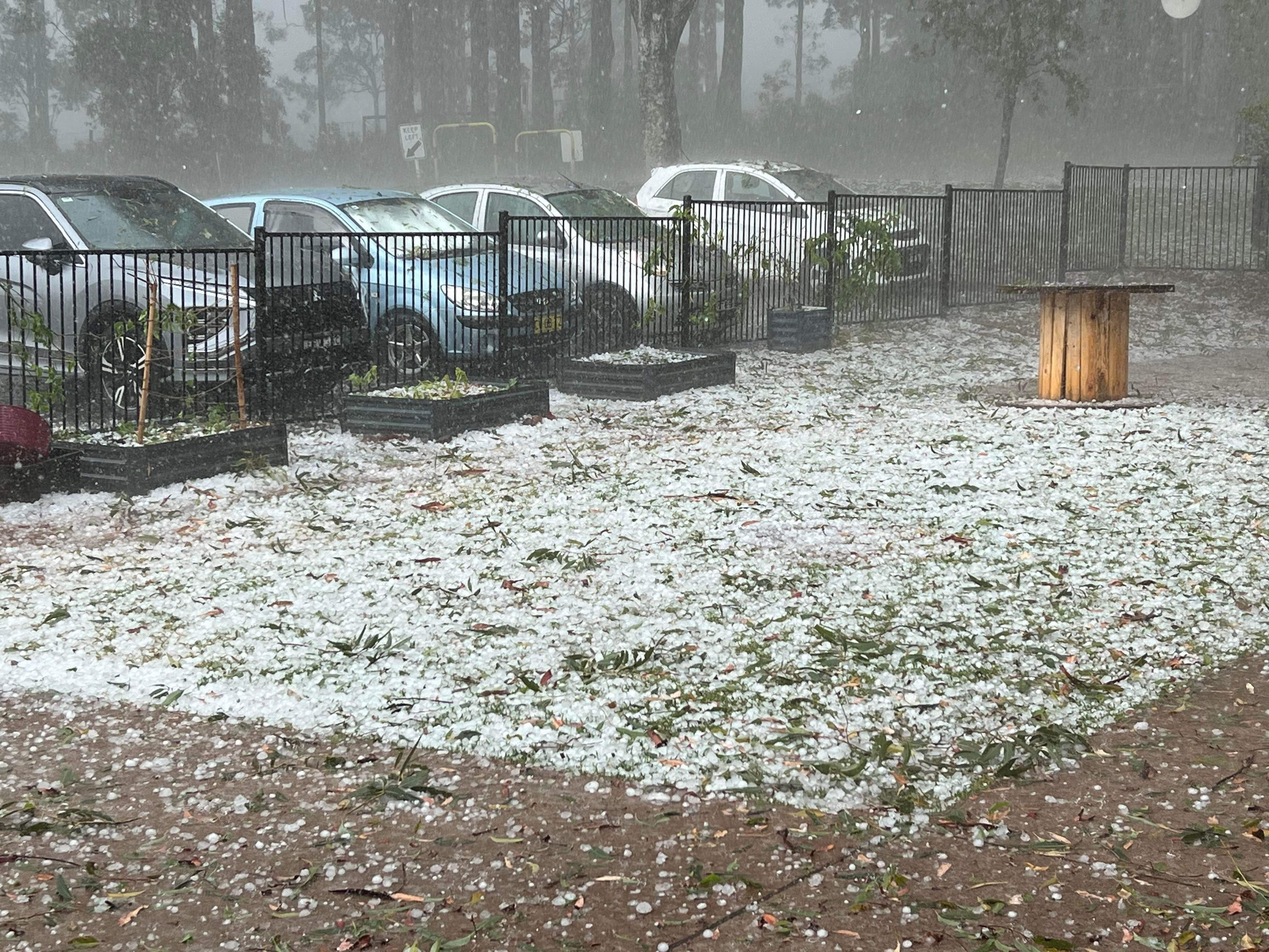 Port Macquarie battered by sudden hail storm, as wild weather hits NSW