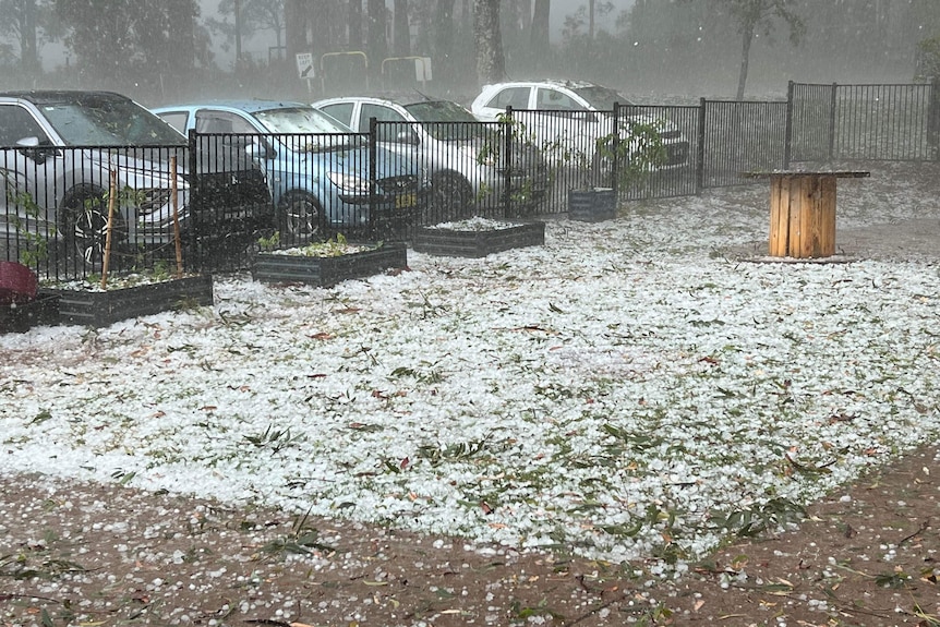 Port Macquarie battered by sudden hail storm, as wild weather hits NSW