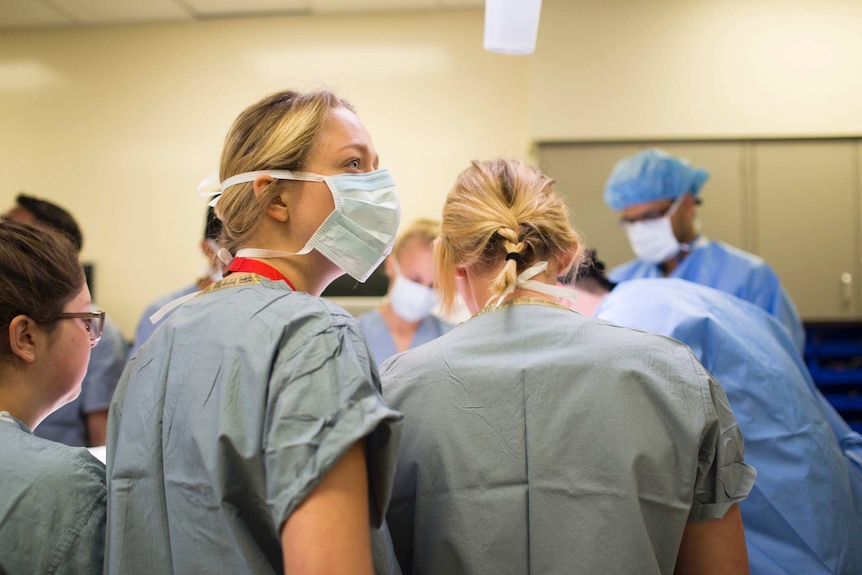 Medical students supervise operations on a cadaver.