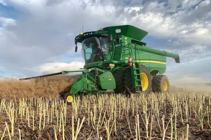 A green harvester sits in a paddock with a pick up front attached, about to start harvesting swathed canola.