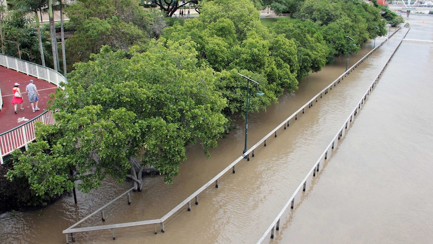 The Brisbane River begins to cover boardwalk at South Bank.