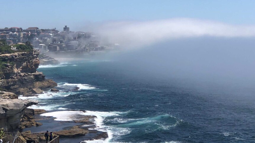 The rocks at Bondi beach are seen to the left of image as sea crashes against them, with fog rising across skyline.