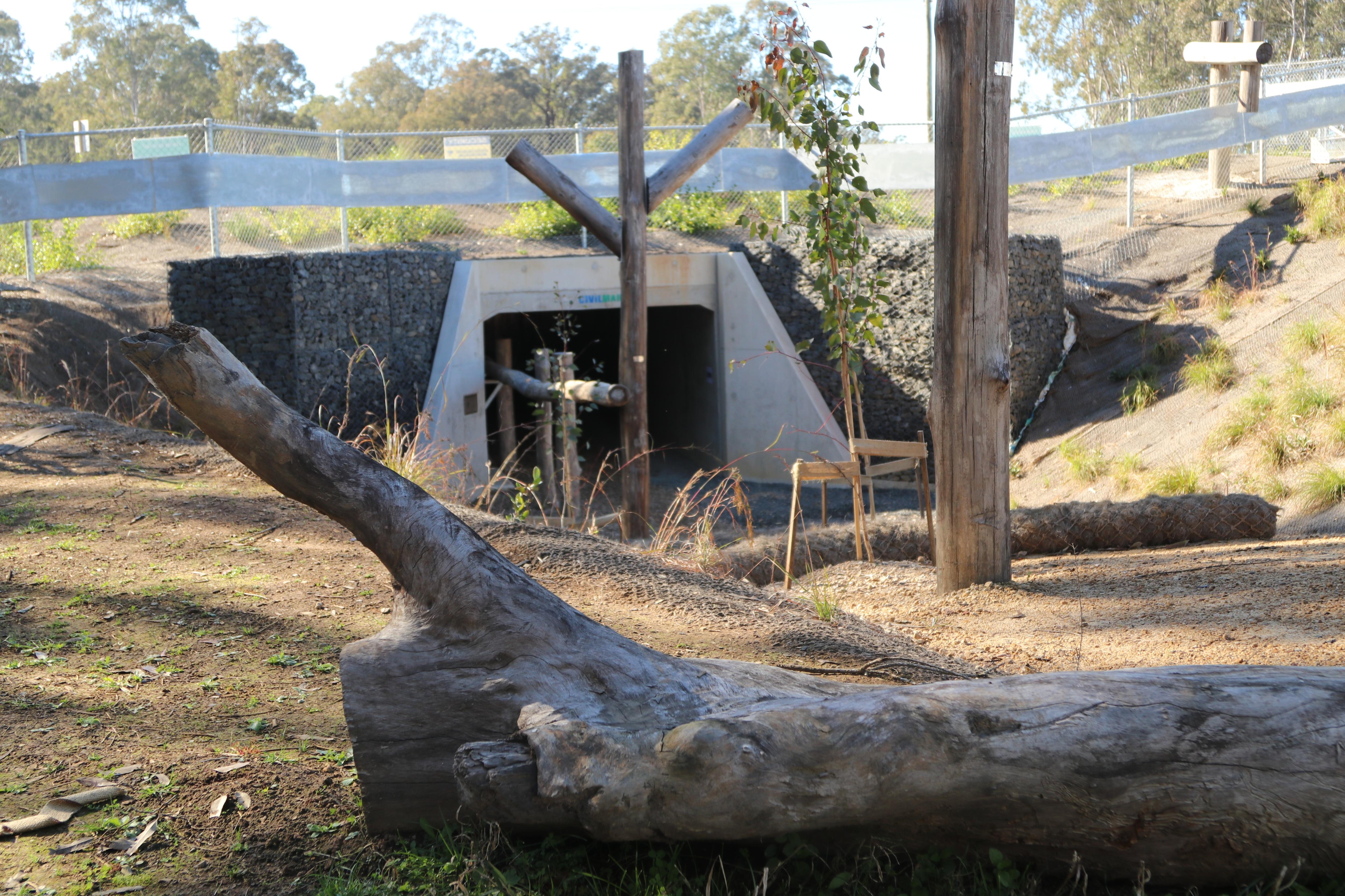 Box culvert with logs and shrubs
