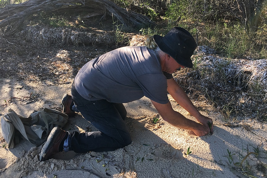 Peter Hardwick planting a succulent.