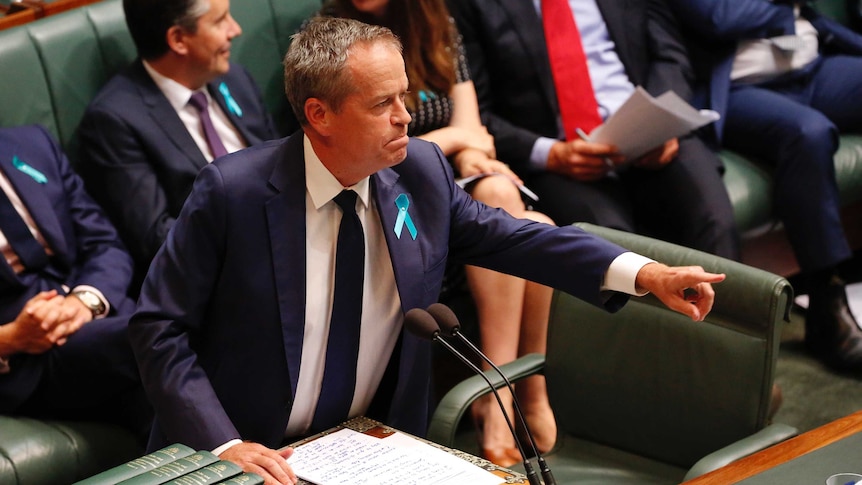 Bill Shorten talks pointedly in Question Time