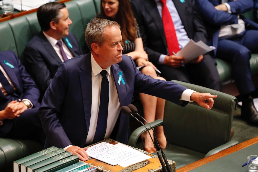 Bill Shorten talks pointedly in Question Time