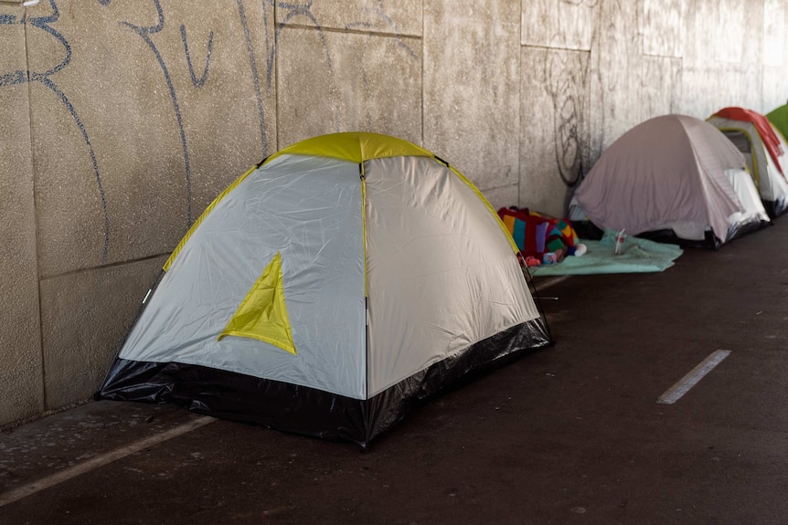 Tents at the Lord Street camp.