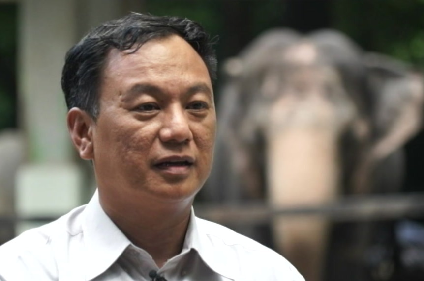 Aung Myo Chit, elephant conservationist. Interviewed by 7.30, October 2018