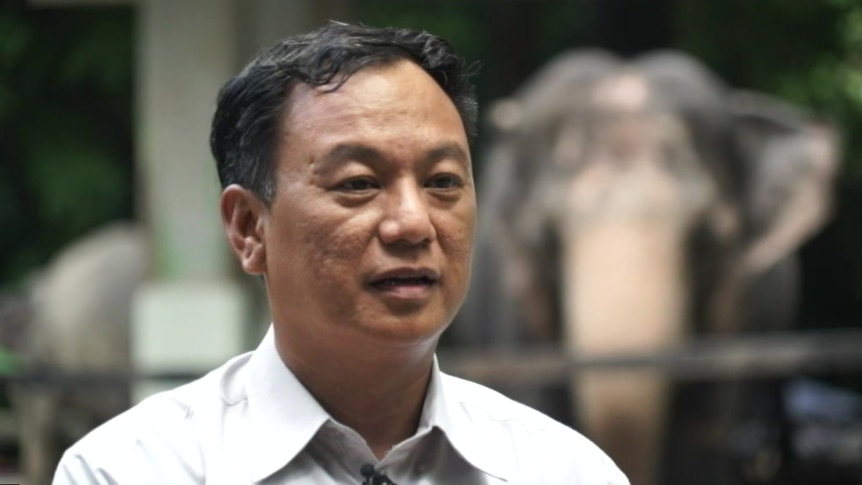 Aung Myo Chit, elephant conservationist. Interviewed by 7.30, October 2018