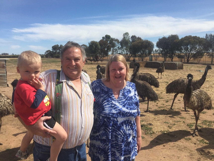 Keith and Gay Baker, with grandson Zane, amongst their emus in Pimpinio.
