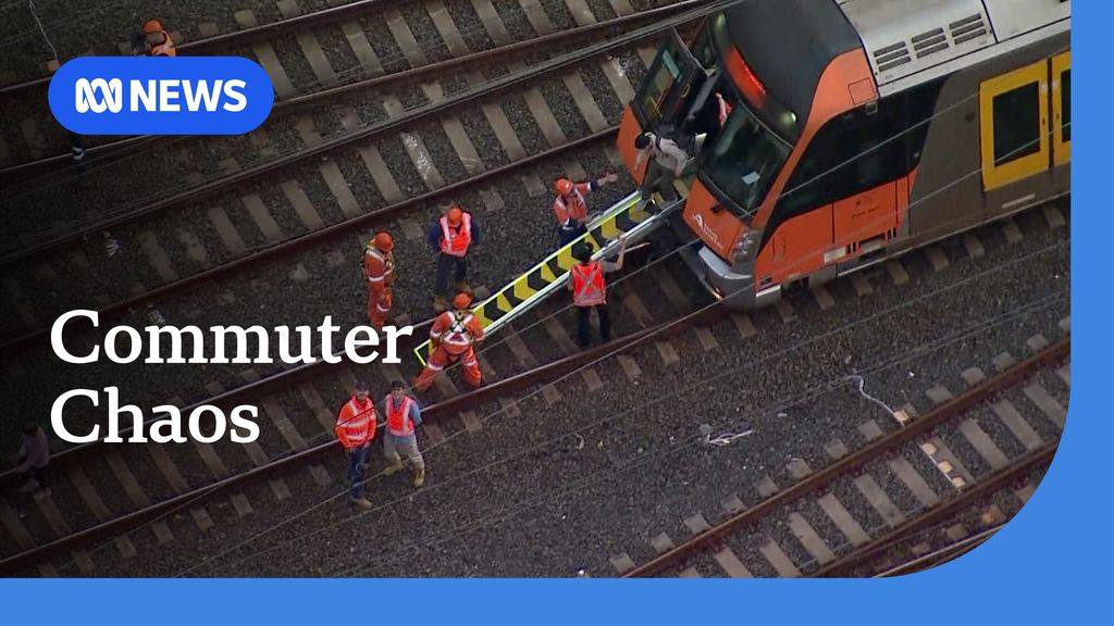 Sydney commuter chaos after power cable falls onto train - ABC News