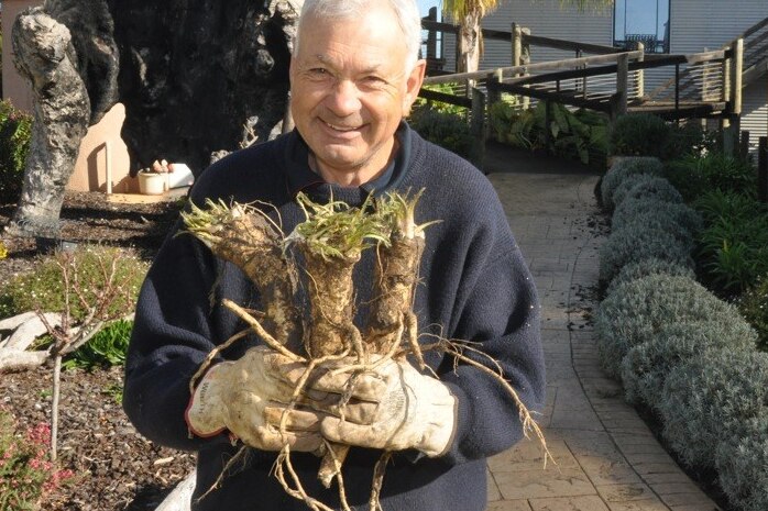 Brian Meakins holding horseradish