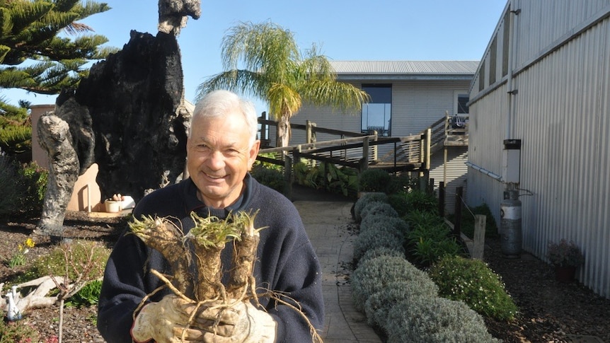 Brian Meakins holding horseradish