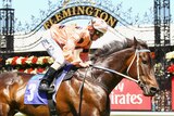 Sweet 16 ... Black Caviar stormed home ahead of Buffering and Summer Music. (Getty: Mark Dadswell)