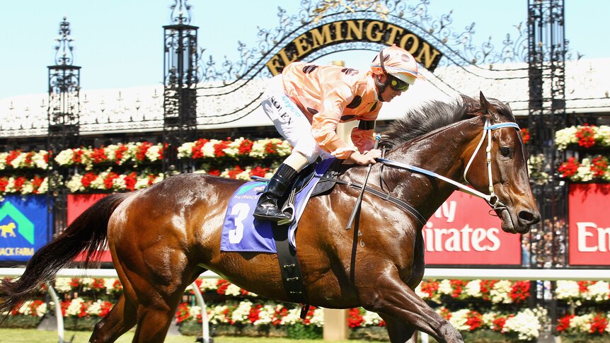 Sweet 16 ... Black Caviar stormed home ahead of Buffering and Summer Music. (Getty: Mark Dadswell)