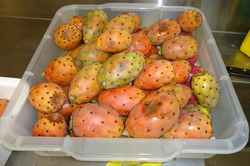 There is a big container of orange fruit with black dots all over it