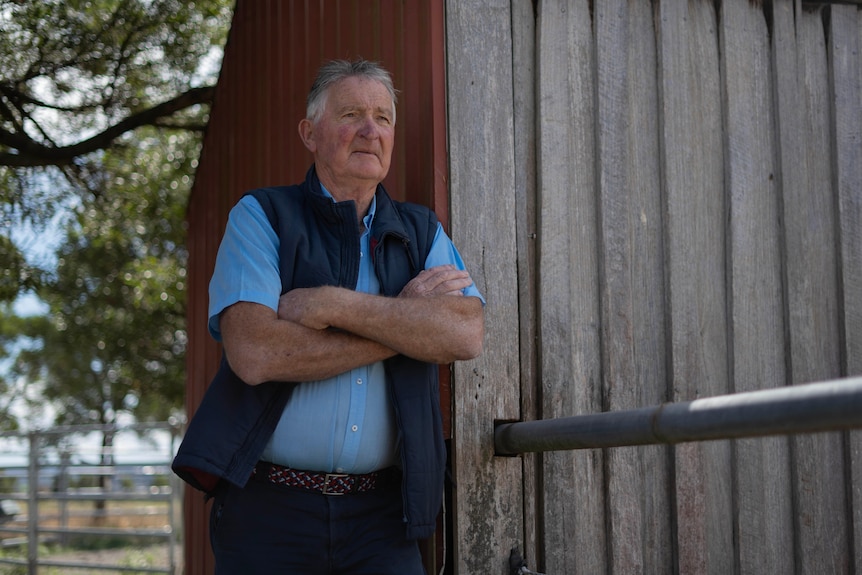 A man folds his arms and watches horses.