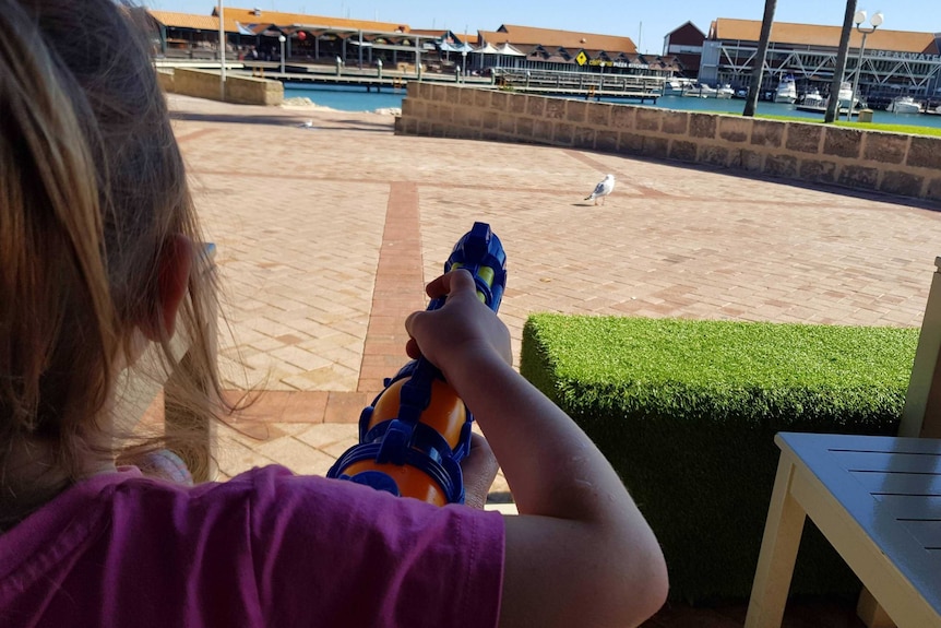 A person aims a water gun at a seagull from a restaurant terrace, with a boat harbour in the background.