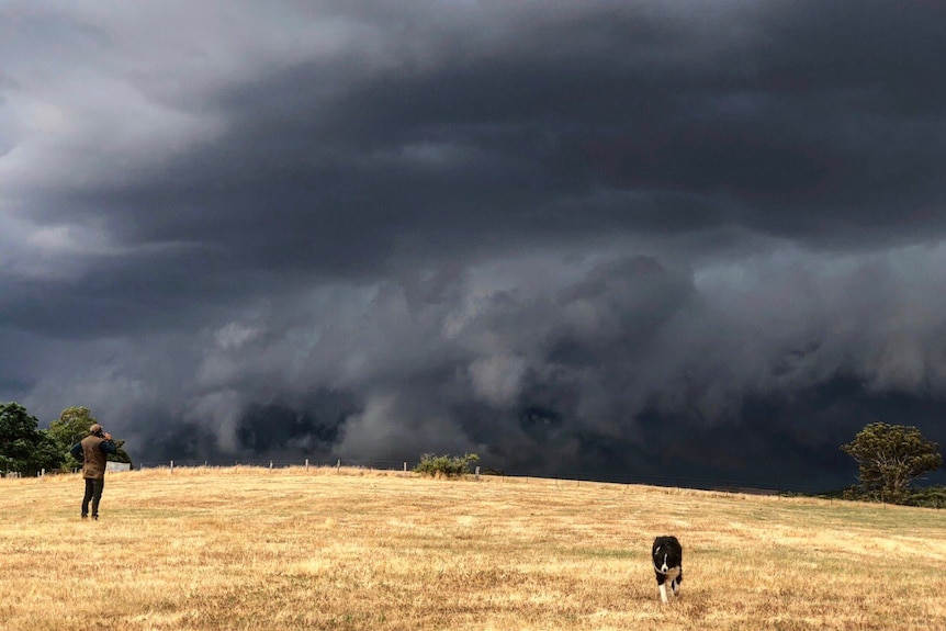 Dark thunderclouds hover over grasslands. 