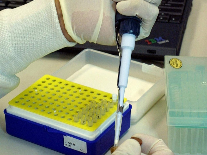 A technician tests a sample for anthrax