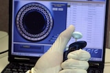 A technician tests a sample for anthrax