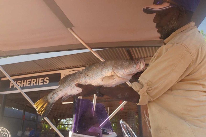 A Maningrida fisher is holding up a barramundi on the boat.