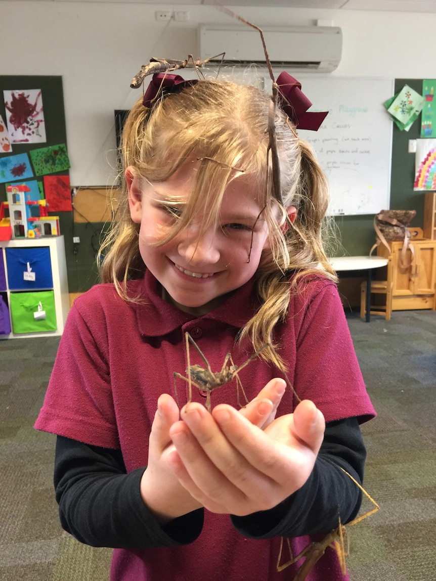Young female student giggling with insects on her hands, arms and head