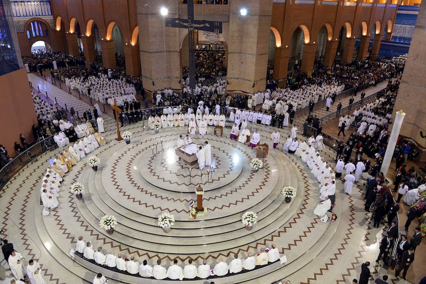 Pope Francis celebrates mass at the Basilica of Our Lady of Aparecida.