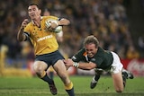 Mat Rogers of the Wallabies in action against South Africa in Sydney