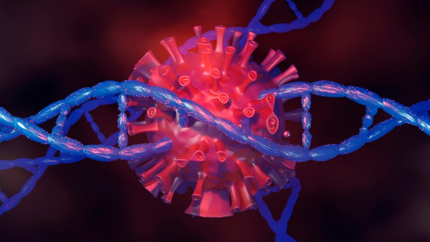 带有 DNA 的冠状病毒