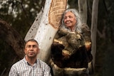 A greying Aboriginal man crouches beside an older Aboriginal woman standing beside a tree that has been carved with a design