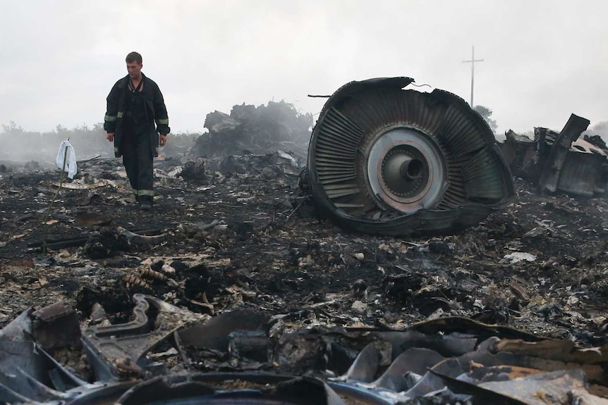 A man walks through a smouldering plane wreckage