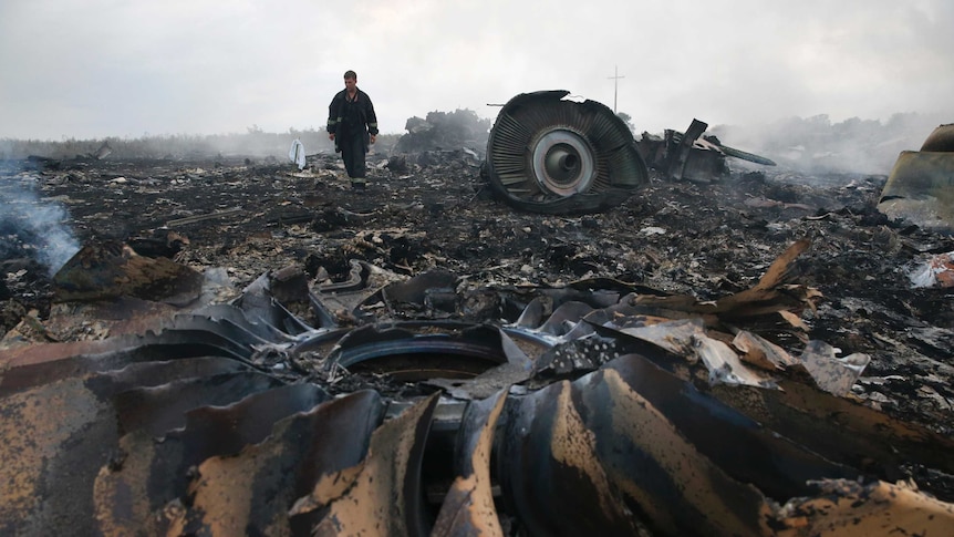 A man walks through a smouldering plane wreckage