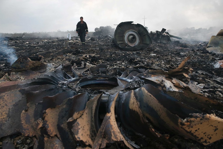 A man walks through a smouldering plane wreckage