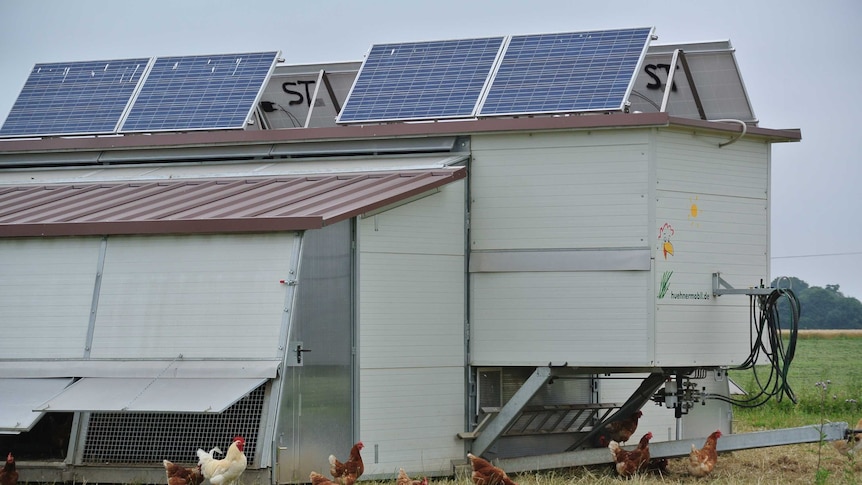 Mobile animal stables