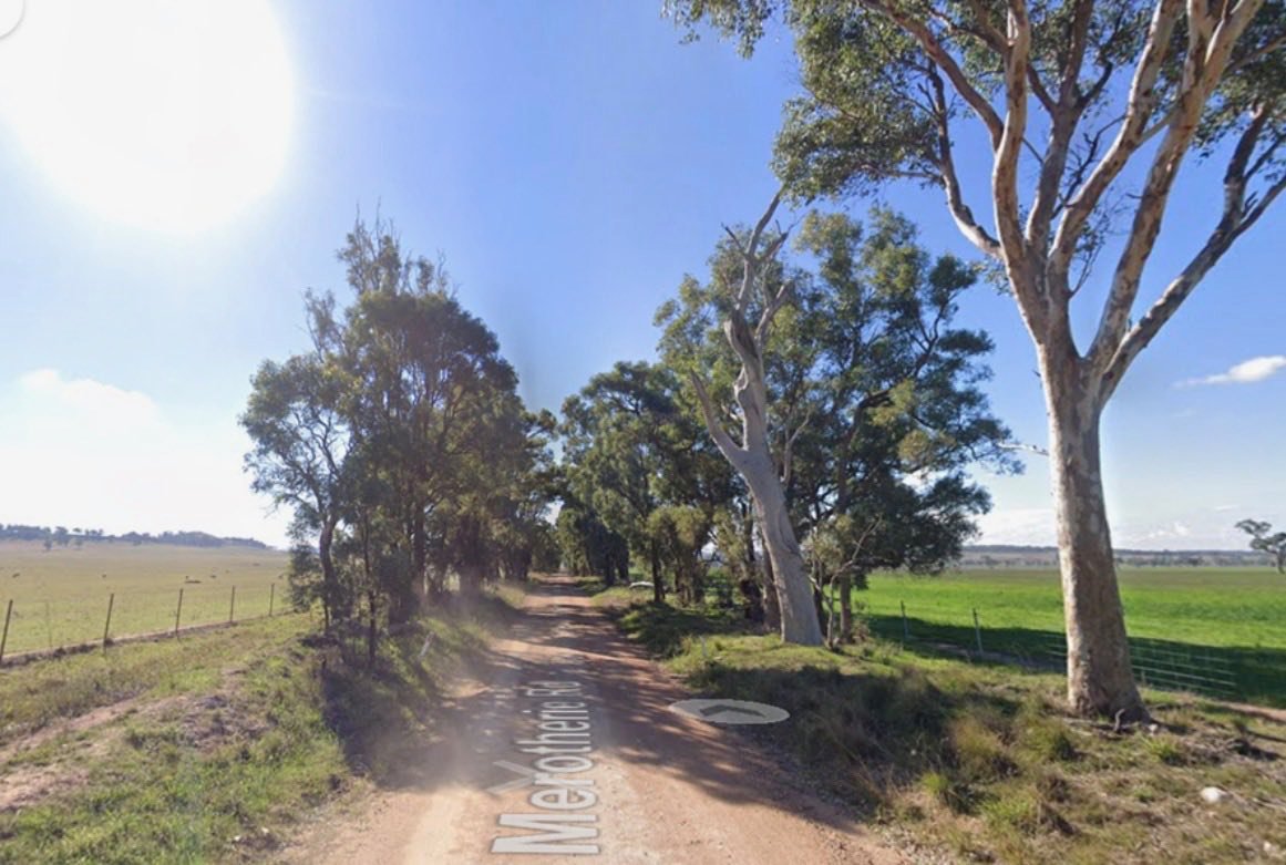 A screenshot of a dirt road with trees and green paddocks either side.