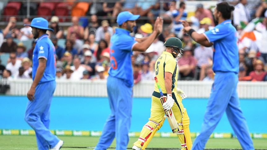 India celebrates wicket of Aaron Finch