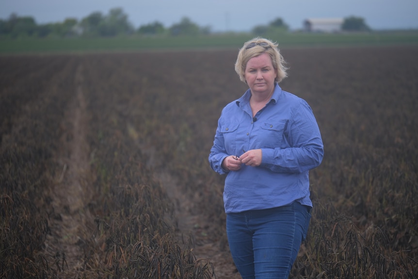 Farmer Renee Anderson near Emerald standing in a soak field after rain