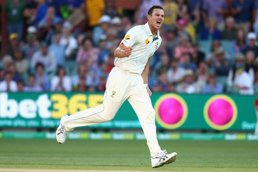 Hazlewood celebrates Guptill wicket