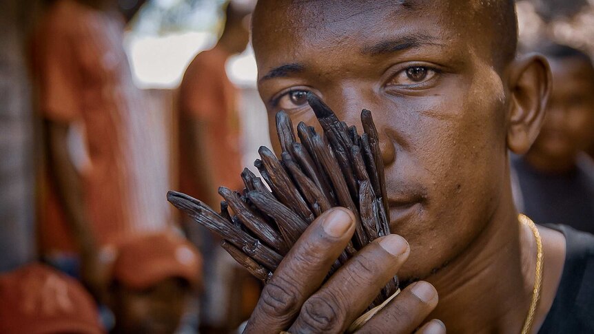 Mr L'Appareil's brown eyes stare into the camera as he holds vanilla beans to his nose.