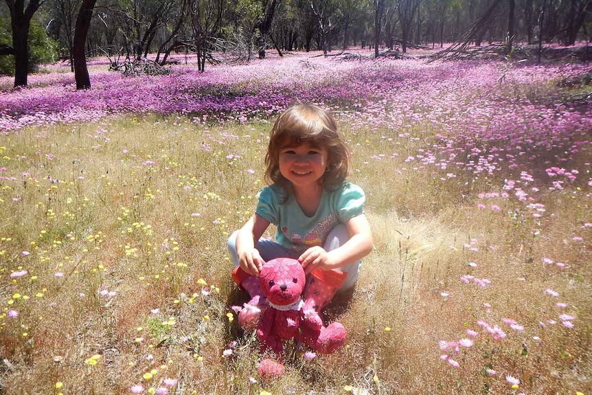 A little girl sitting with a stuffed toy in a field of flowers on the floor of a woodland
