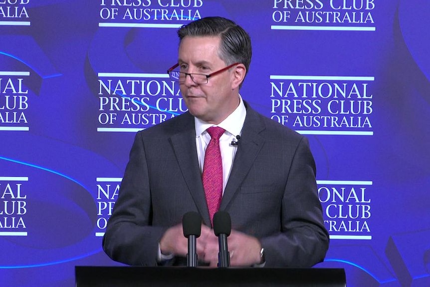 'Biggest loophole in Australian healthcare history': Mark Butler calls for a crackdown on vaping