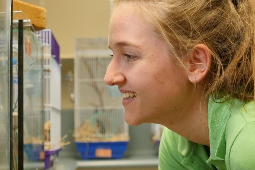 Young woman with blonde hair and green shirt peers into glass animal enclosure inside university laboratory.