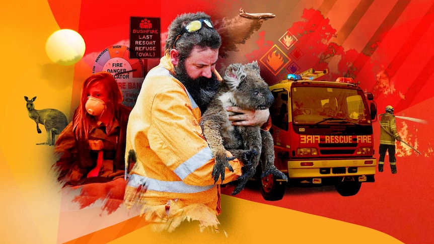 Collage of bushfire related imagery.