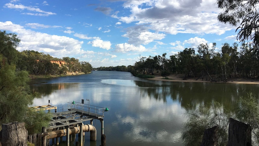 Irrigation pumps piped into a large river, line with trees either side and clouds in the sky