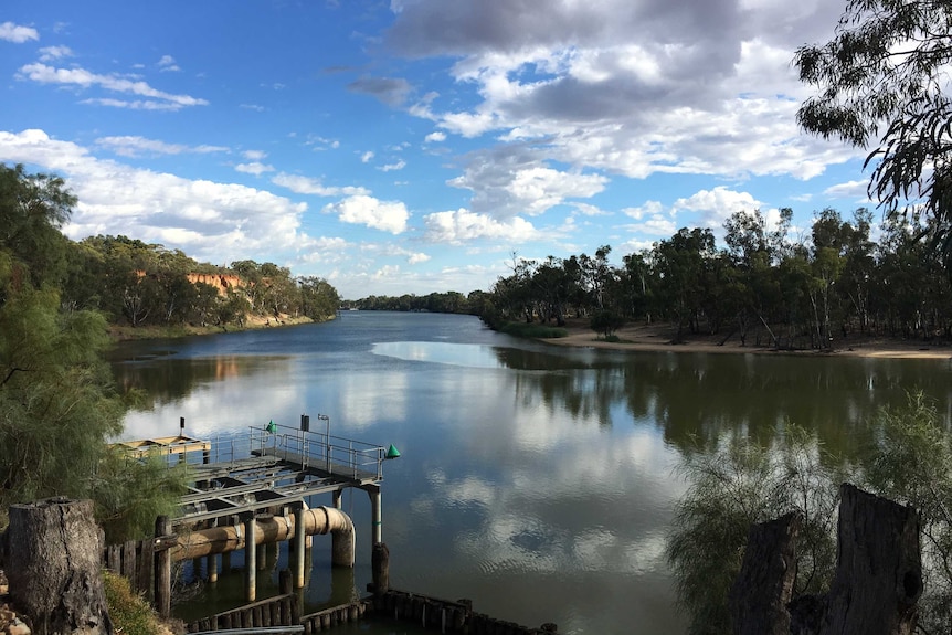 Irrigation pumps piped into a large river, line with trees either side and clouds in the sky