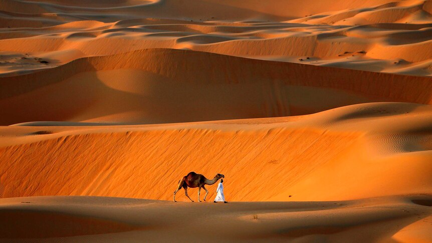 A man walks his camel across the top of a sand dune in the late afternoon, with sand dunes disappearing into the distance.