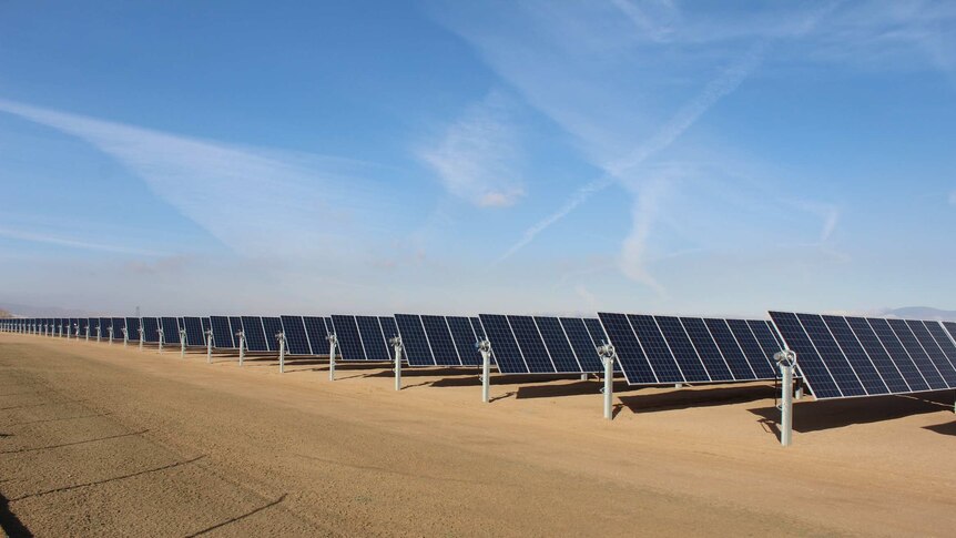 US city empowers Australian councils to develop solar as lack of ...