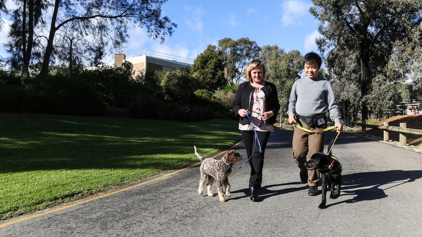 Dr Pauleen Bennett walking xxx with PhD student and foster career Dac Loc Mai (Jimmy) walking Abbey.